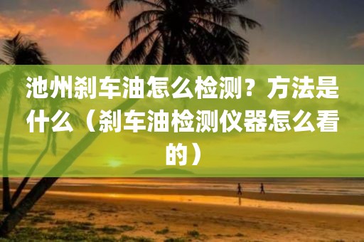 池州刹车油怎么检测？方法是什么（刹车油检测仪器怎么看的）